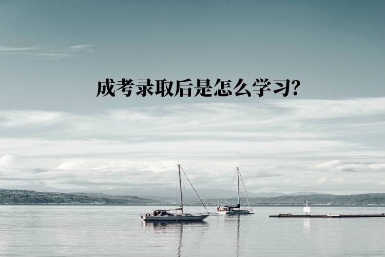 成考錄取后是怎么學(xué)習(xí)？