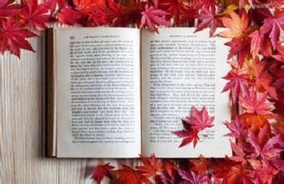 ?？粕佳?，最關(guān)心的14個(gè)問題