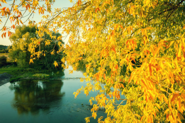 萍鄉(xiāng)專升本哪個培訓(xùn)機構(gòu)好？靠譜嗎？