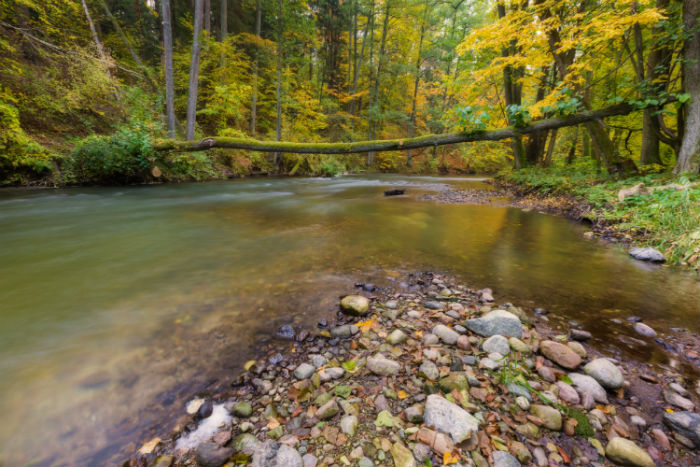 廣西貴港專升本哪個(gè)成人培訓(xùn)機(jī)構(gòu)好？