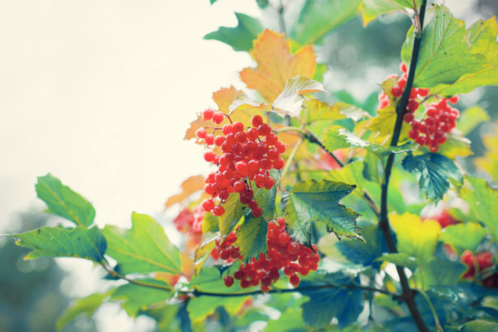 臨滄專升本培訓(xùn)機(jī)構(gòu)有哪些？報(bào)名哪個(gè)靠譜？