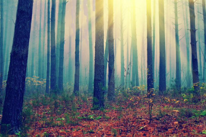 商洛?？粕究频呐嘤枡C構哪家靠譜？