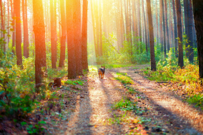 武威成人專升本學(xué)歷提升哪個培訓(xùn)機構(gòu)好？