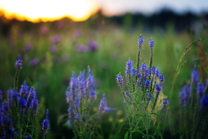 定西專升本教育培訓(xùn)機構(gòu)名單是什么？哪家機構(gòu)靠譜？