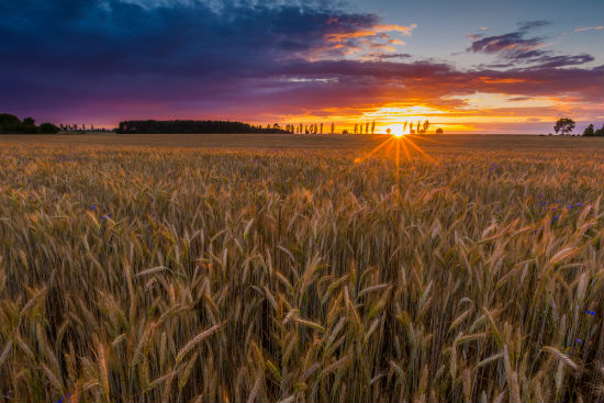 北京師范大學專升本畢業(yè)要滿足什么條件要求？