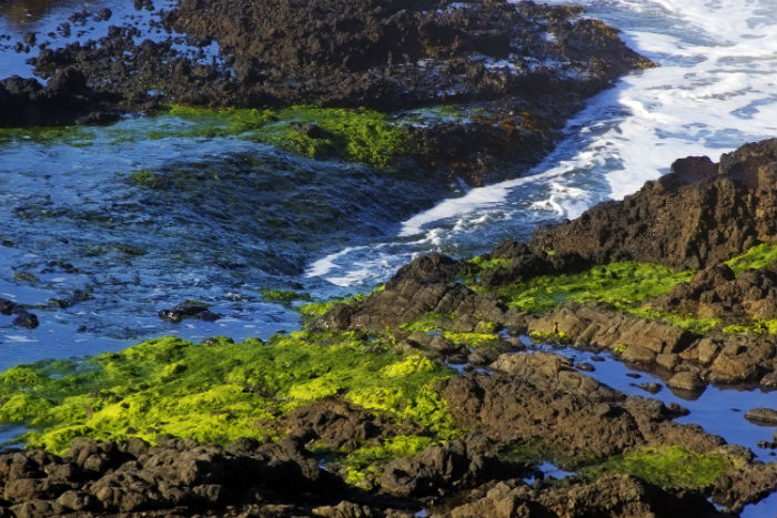 攝影專升本學費多少錢？