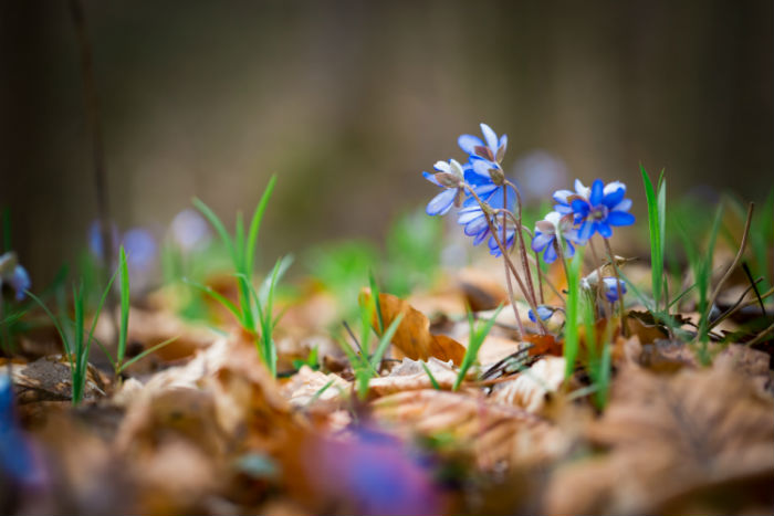 河源地區(qū)學歷提升能在哪兒報名？可以報名什么樣的大學？