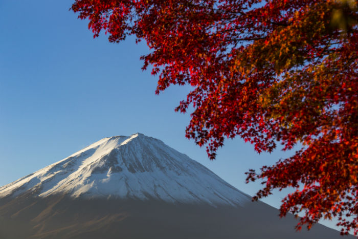 西雙版納傣族自治州學(xué)歷提升方式有幾種？報(bào)名學(xué)校有哪些？