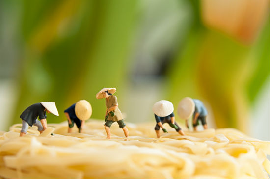 日語(yǔ)專升本報(bào)考所需學(xué)費(fèi)費(fèi)用是多少？