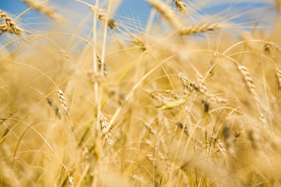 軟件工程專升本考生報名需要交多少錢的學(xué)費(fèi)？怎么交學(xué)費(fèi)？