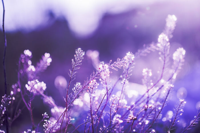 蘭州大學網(wǎng)絡教育學院更新招生簡章了嗎？報考要求有沒有變化？