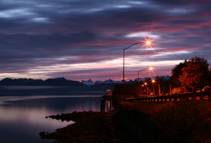 東北農(nóng)業(yè)大學(xué)專(zhuān)升本考生選擇什么方式報(bào)名比較靠譜？
