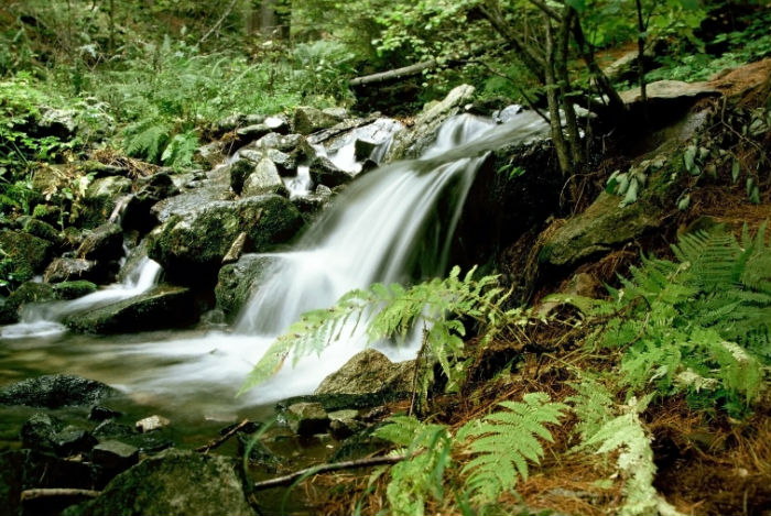 上海專升本培訓(xùn)機構(gòu)哪家好？