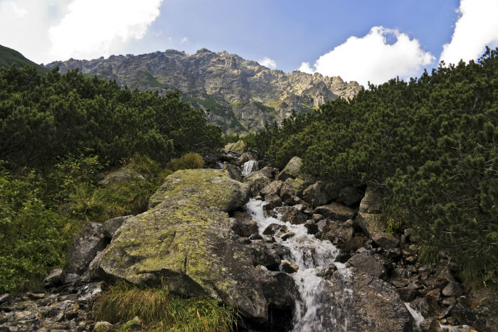 上海專升本學(xué)歷和畢業(yè)文憑有什么用嗎？