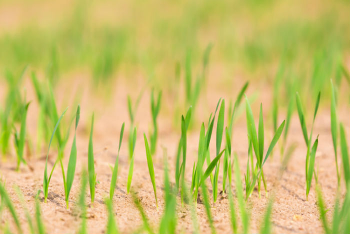 上海專升本函授文憑和遠程教育文憑哪個好用？