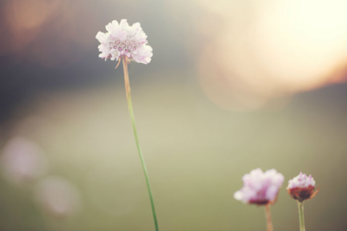 四川大學專升本網(wǎng)絡教育入學考試科目是哪些和怎么安排入學測試?