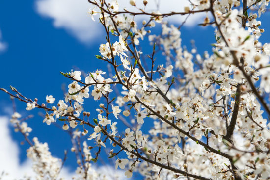 平頂山提升學歷有多少種方法和報名哪種方式學歷提升比較靠譜?