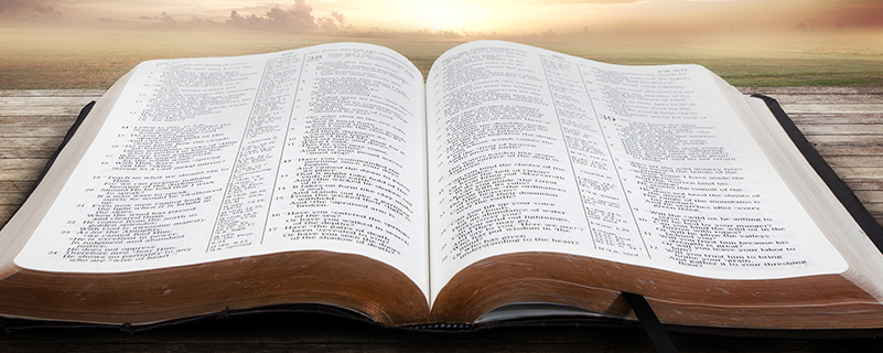 東北農(nóng)業(yè)大學網(wǎng)絡教育入學考試科目有哪些