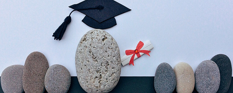 南京曉莊學(xué)院專(zhuān)轉(zhuǎn)本專(zhuān)業(yè)