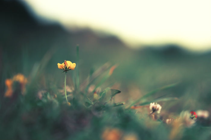 天津?qū)I緢竺麜r間2020