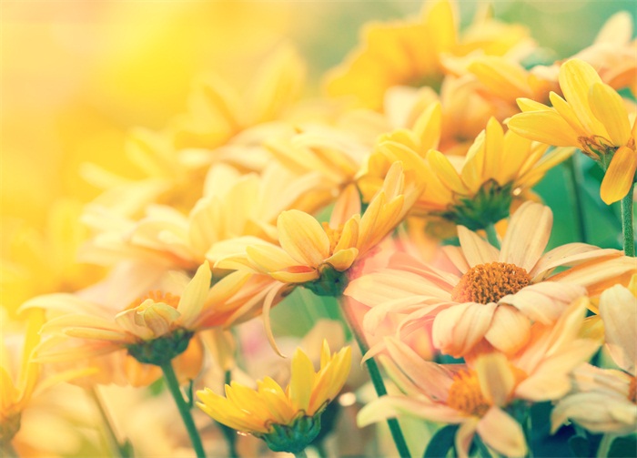 牡丹江市專升本培訓(xùn)機(jī)構(gòu)在哪