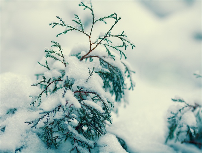 平?jīng)鰧I驹趺词杖W費