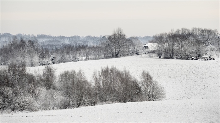 北京語(yǔ)言大學(xué)專(zhuān)升本金融學(xué)考什么