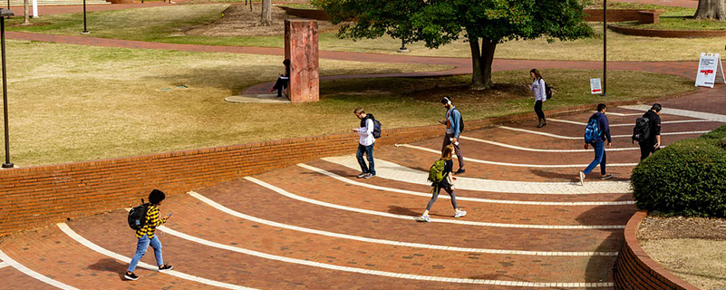 大專網(wǎng)絡教育有什么專業(yè)