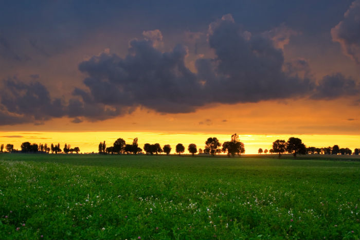 四川網(wǎng)絡(luò)教育計(jì)算機(jī)科學(xué)與技術(shù)專(zhuān)業(yè)可以報(bào)考哪些院校