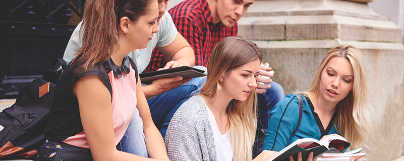 網(wǎng)絡教育本科有什么專業(yè)