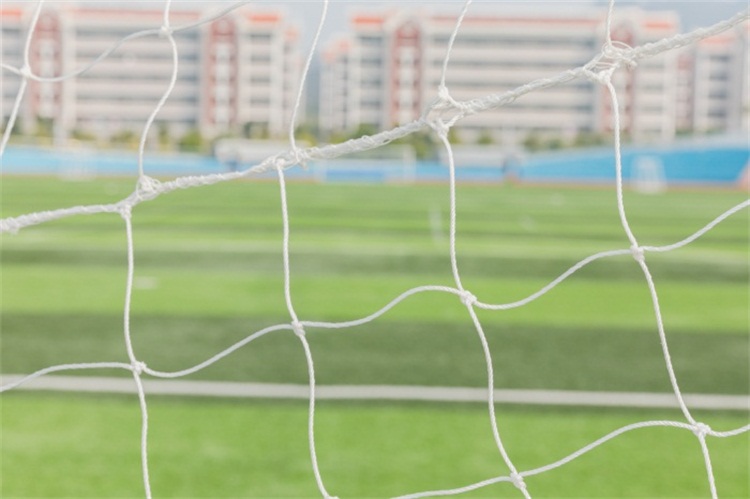 早期教育專升本可以報什么專業(yè)