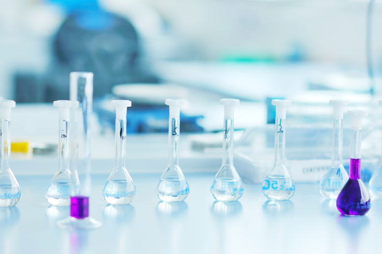 現(xiàn)代農(nóng)業(yè)技術(shù)專業(yè)有專升本嗎?