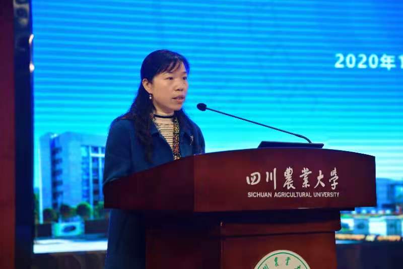 立足新起點(diǎn) 把握新要求 開啟新征程 ——學(xué)校2020年繼續(xù)教育年會召開