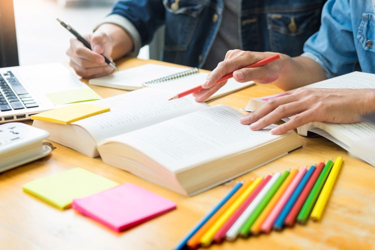 遵義專升本有哪些專業(yè)可以報考？