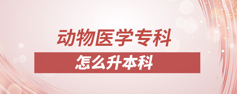 動物醫(yī)學(xué)?？圃趺瓷究? /></p><p style=