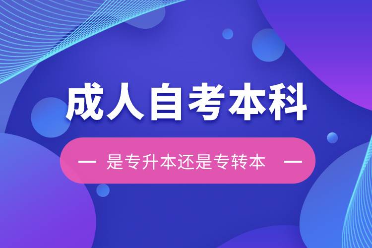 成人自考本科是屬于專升本還是專轉本