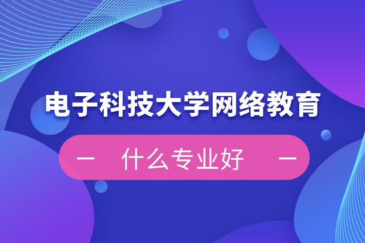電子科技大學網絡教育什么專業(yè)好