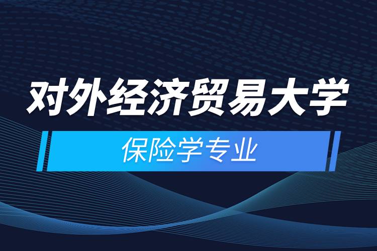 對外經(jīng)濟貿(mào)易大學(xué)保險學(xué)專業(yè)