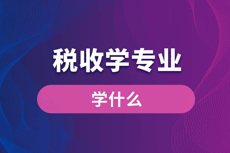 稅收學專業(yè)學什么