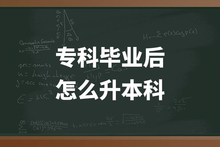 ?？飘厴I(yè)后怎么升本科.jpg
