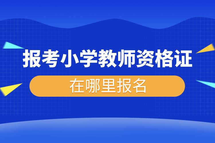 1677811681518297.jpg 0303-5.jpg