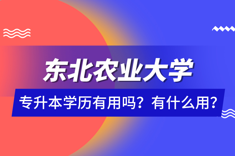 東北農業(yè)大學專升本學歷有用嗎？有什么用？