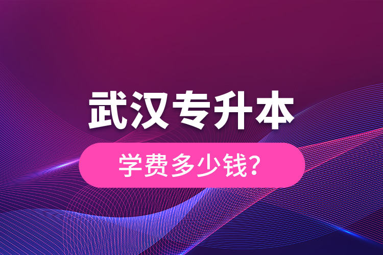 武漢專升本學(xué)費多少錢？