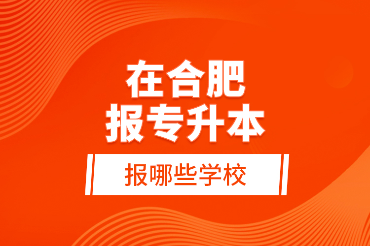 在合肥報專升本報哪些學(xué)校？