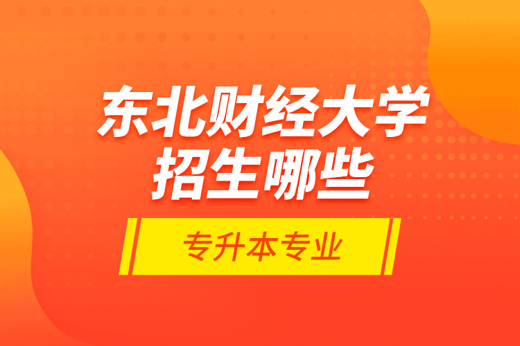 東北財(cái)經(jīng)大學(xué)招生哪些專升本專業(yè)？