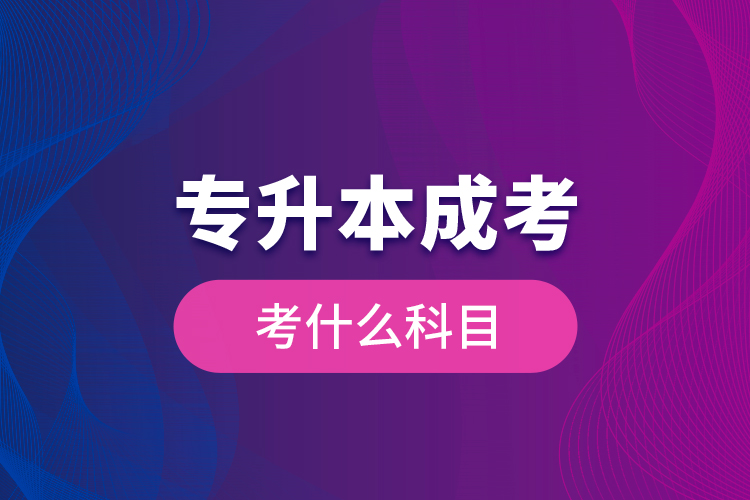 專升本成考考什么科目？