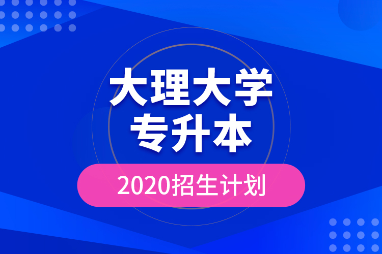 大理大學專升本2020招生計劃