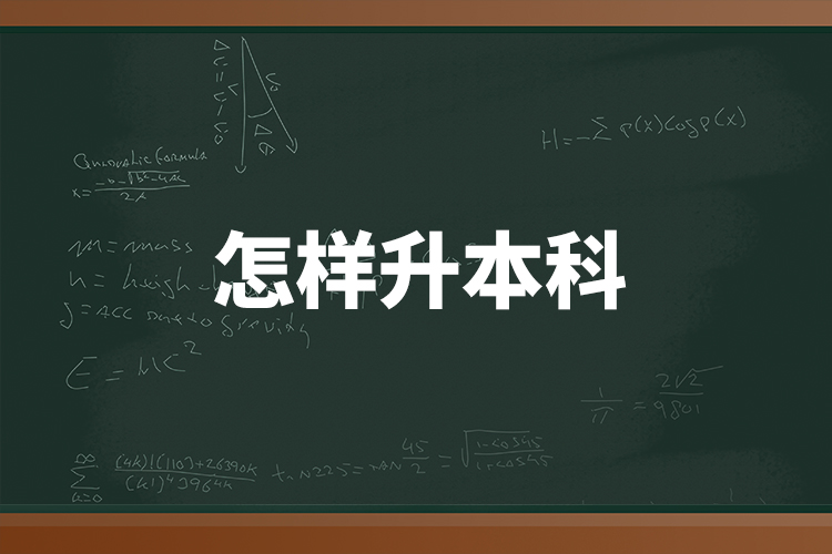 怎樣升本科？
